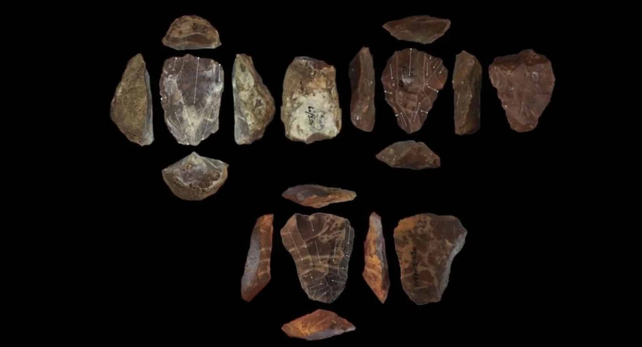 110 000 ans de mystère enfin résolus : le lien Néandertal-Homo sapiens est plus surprenant qu’on ne le pensait