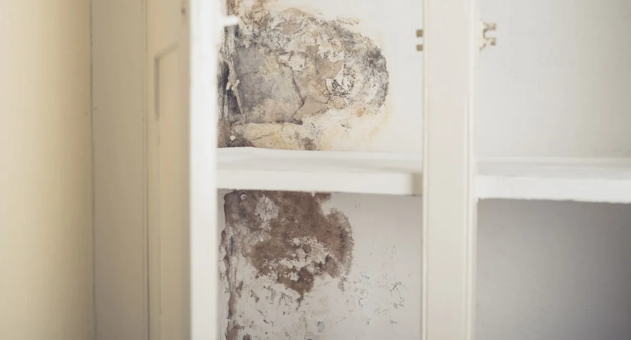 Alerte des experts: la menace invisible cachée dans nos murs qui mine la santé des familles