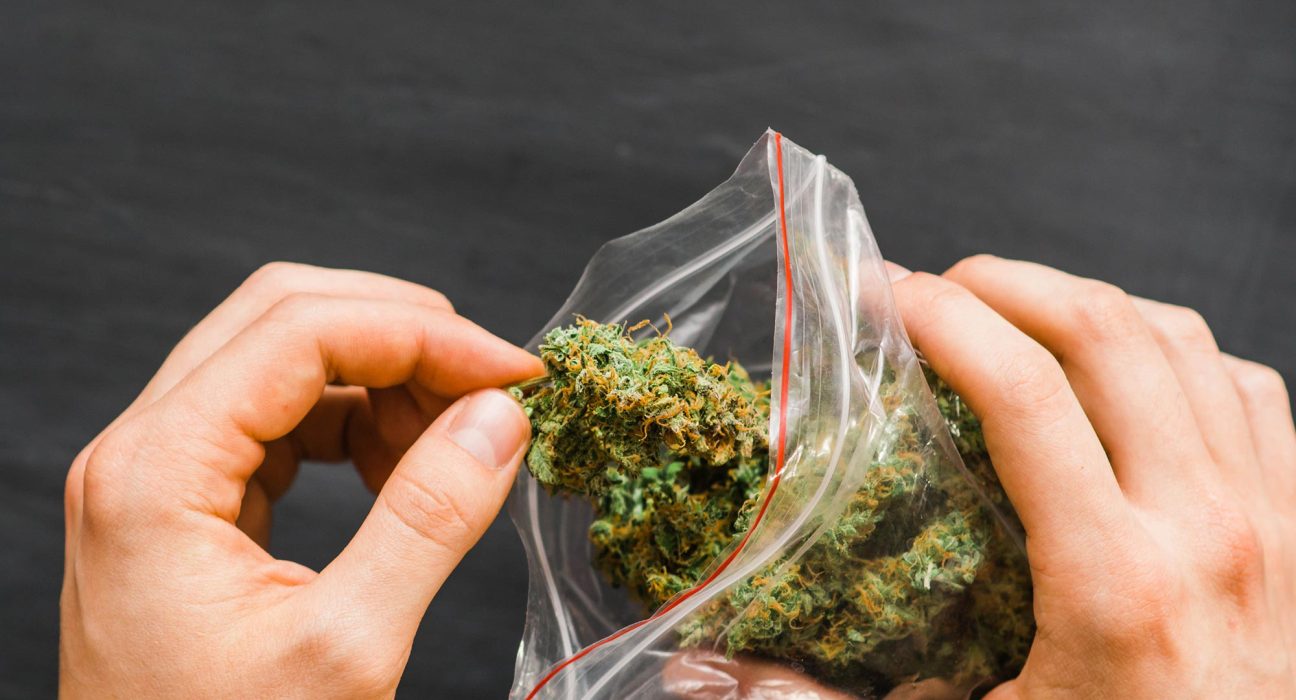 Cannabis: la puissance affichée sur l’étiquette est souvent surestimée, selon des chercheurs