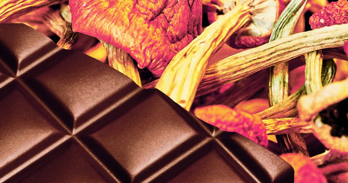 Chocolat « à la psilocybine » : des tests révèlent une vérité alarmante