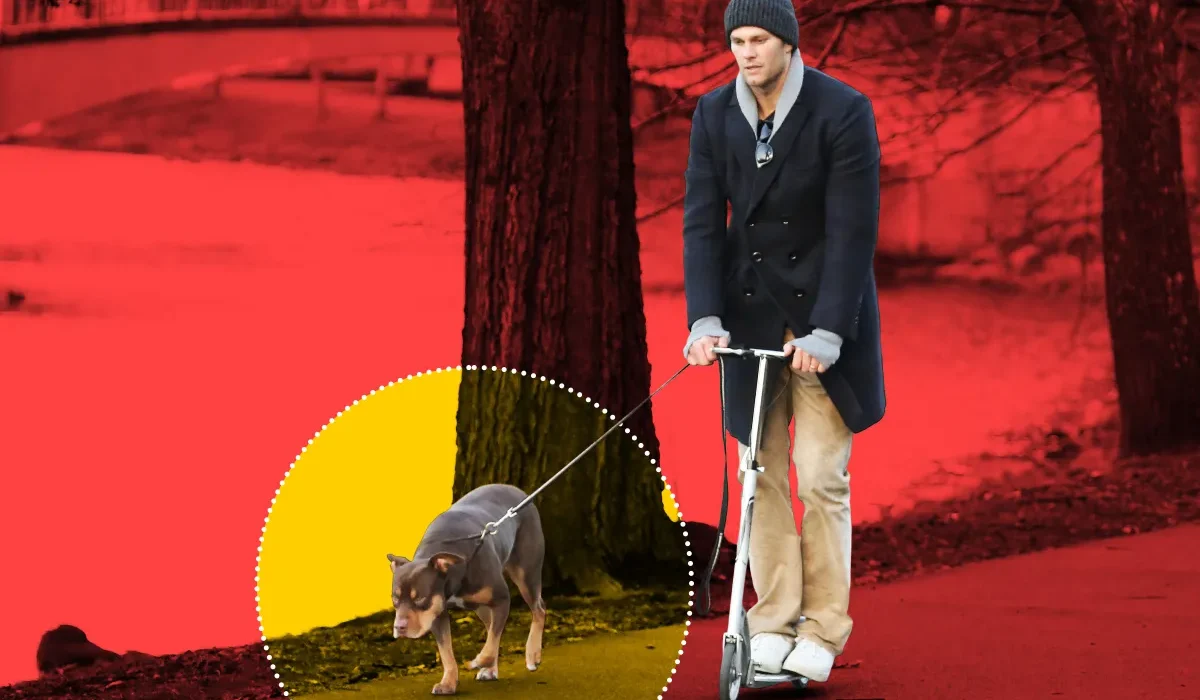 Coup de théâtre : Tom Brady révèle que son chien est un clone