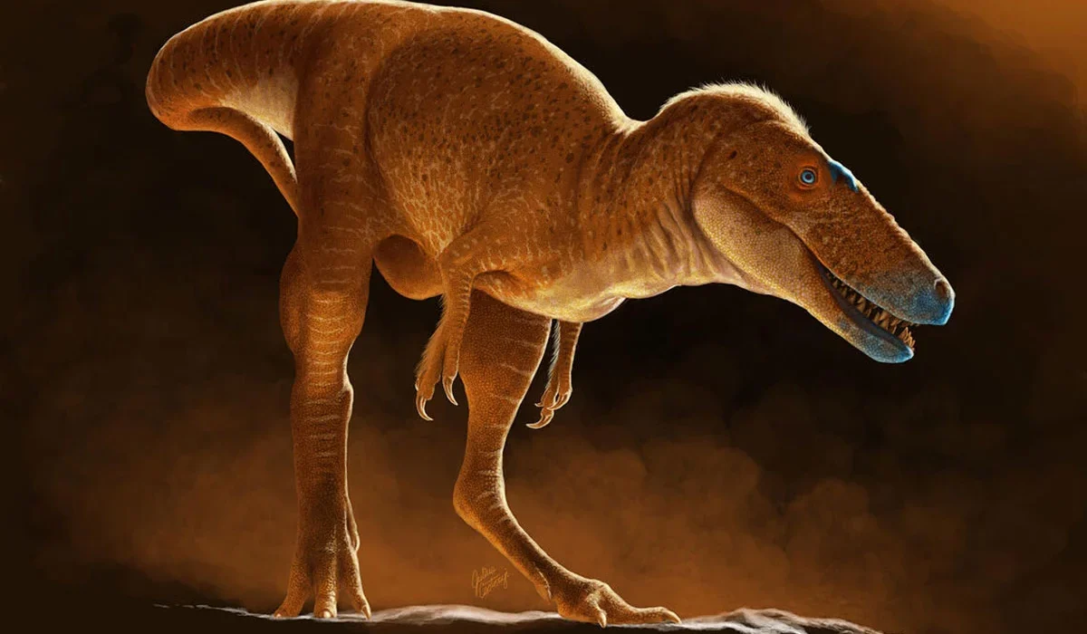 Découverte du « Prince Dragon », le plus proche ancêtre connu de T. rex