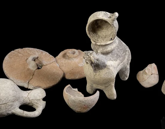 Découverte d’une presse à vin de 5 000 ans : le mystère du plus ancien vin urbain enfin résolu