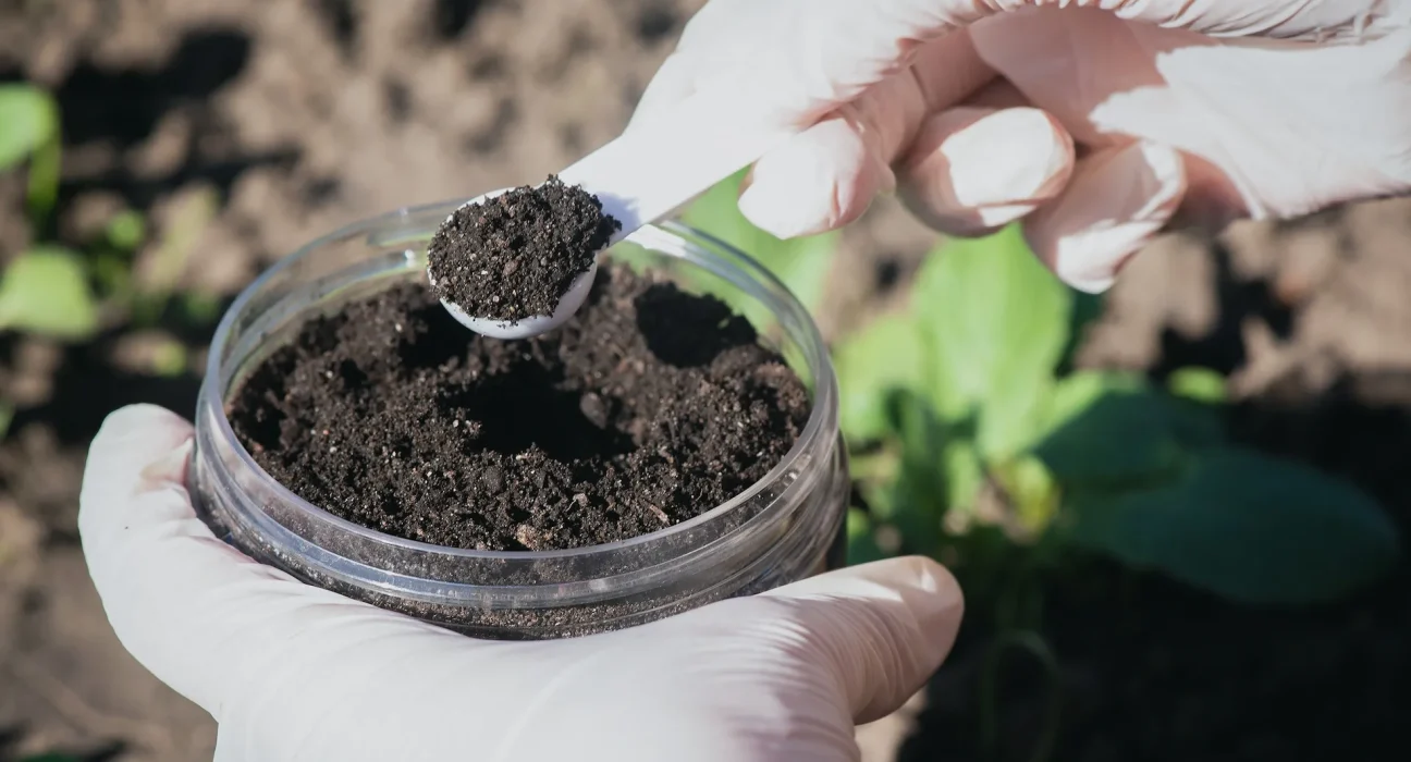 Découverte majeure : la stratégie révolutionnaire des plantes pour survivre en conditions extrêmes