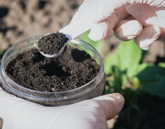 Découverte majeure : la stratégie révolutionnaire des plantes pour survivre en conditions extrêmes