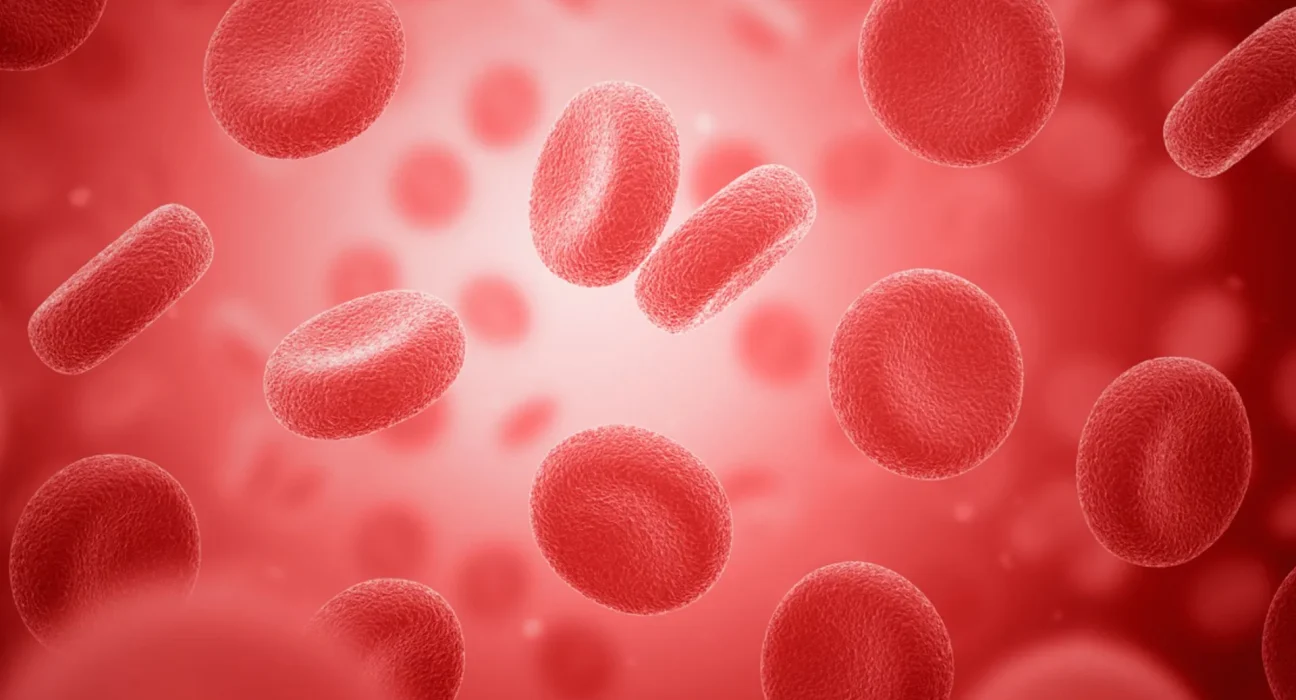 Des cellules vivantes deviennent des biocapteurs fluorescents, révélant en temps réel l’activité des protéines