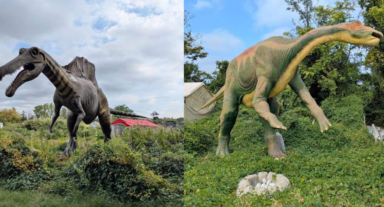 Des dinosaures taille réelle en vente : ce détail caché fait sensation