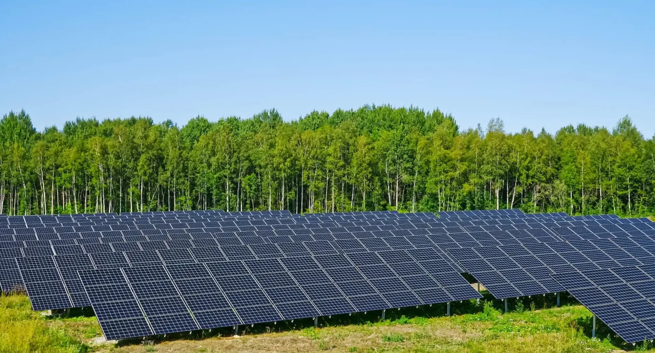 Des panneaux solaires dans les champs: une découverte capitale, selon des chercheurs