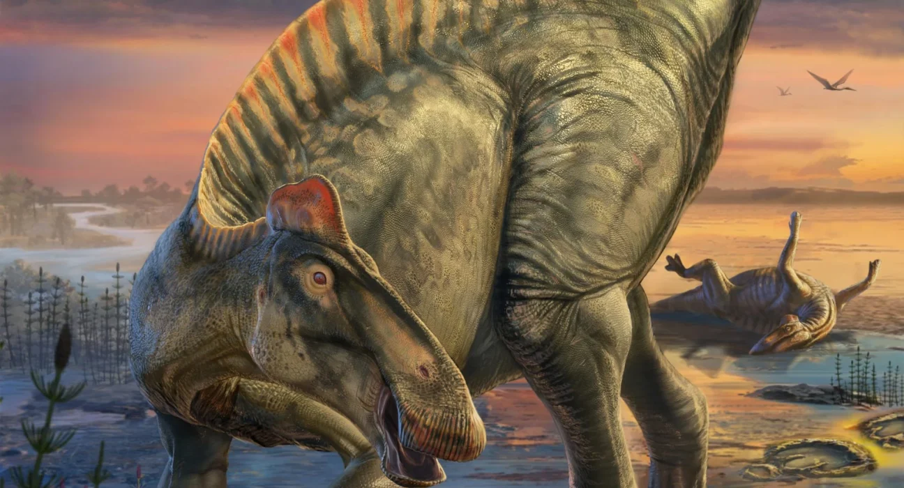 Dinosaures à sabots : des momies fossiles réécrivent l’évolution