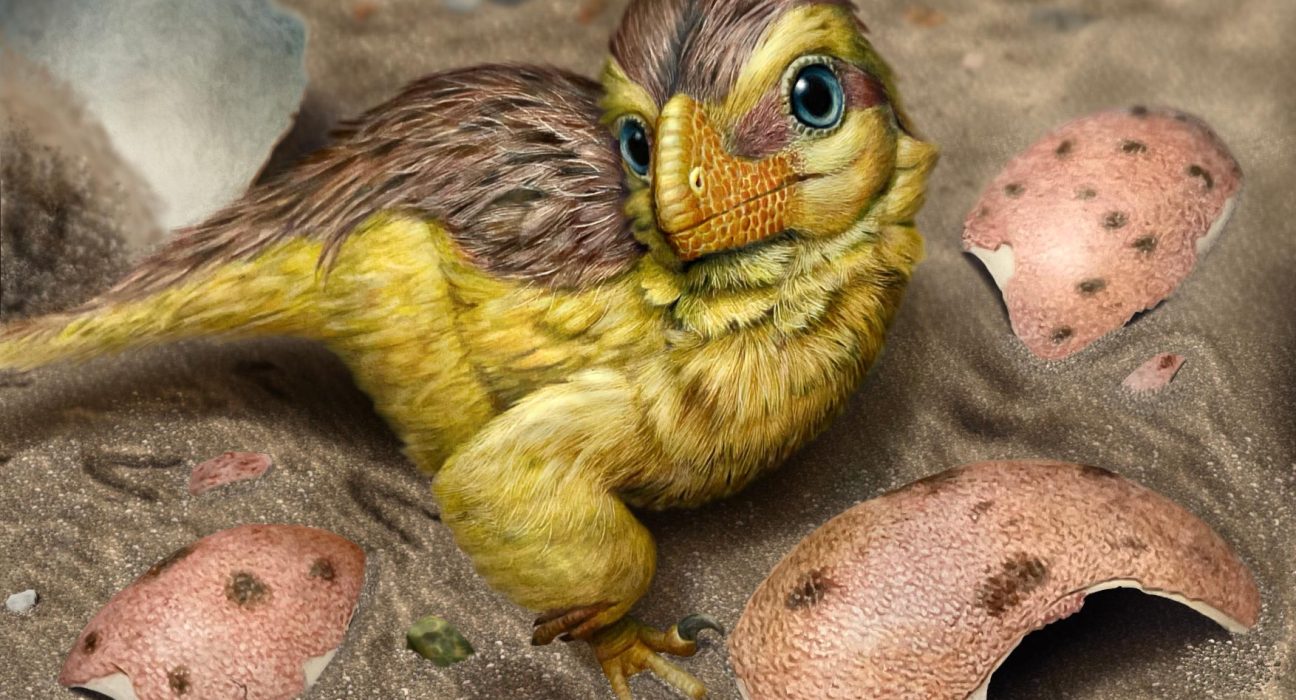 Le Graal des paléontologues : la découverte qui révolutionne la datation des dinosaures