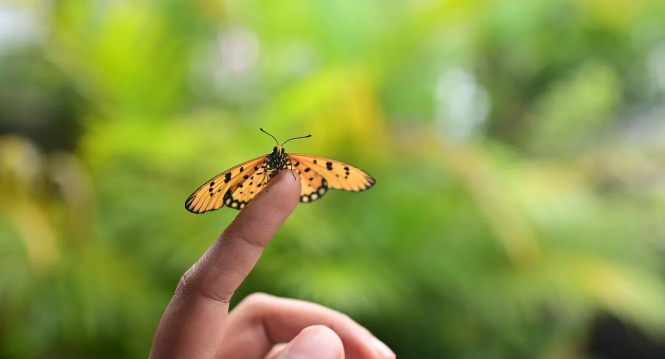 L’humain, conçu pour la nature plutôt que pour les villes