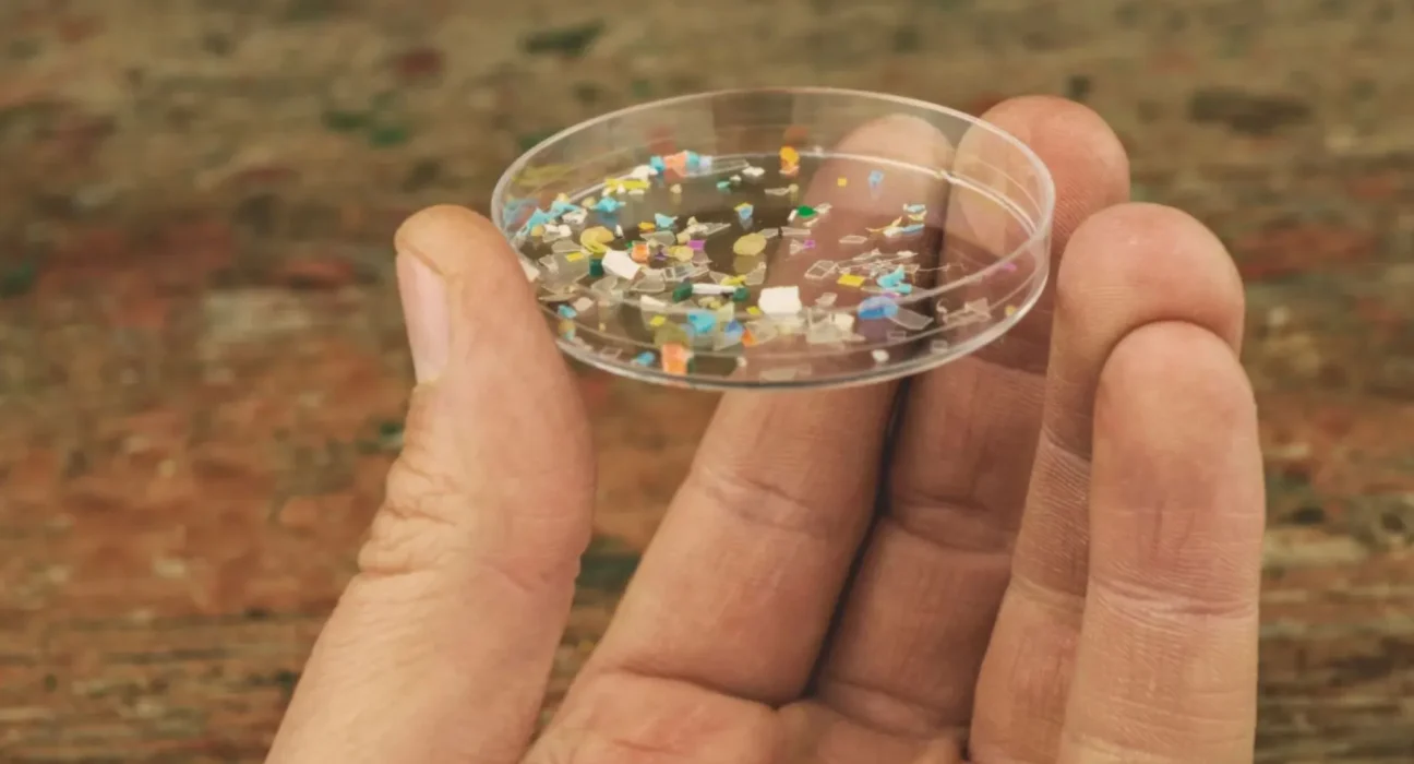 L’océan transforme les particules plastiques, accentuant leur impact cutané.