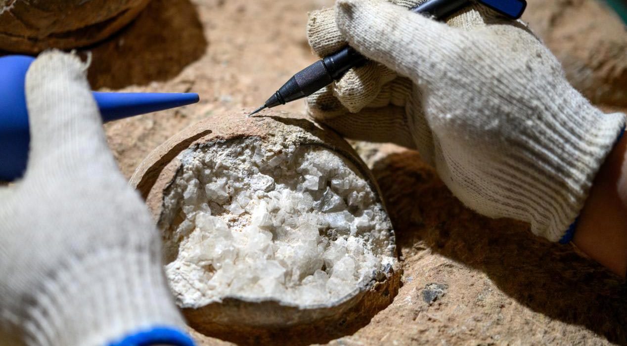 Œufs de dinosaures : première datation directe grâce à l’horloge atomique