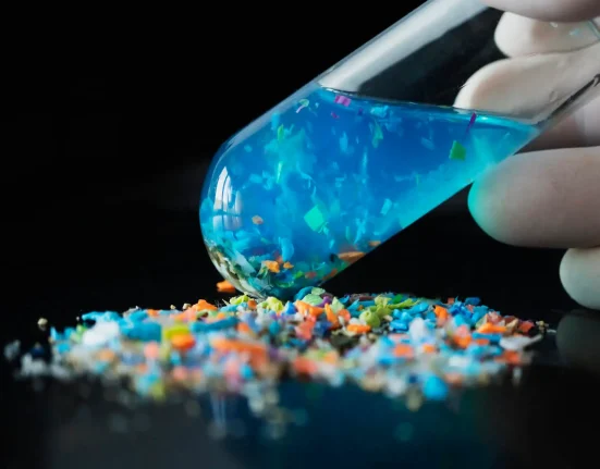 Plastiques usagés: une découverte majeure pourrait révolutionner leur fin de vie et boucler la boucle du recyclage