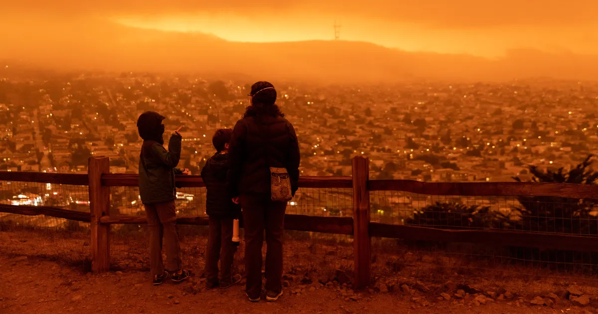Respirer la fumée des feux de forêt : une découverte alarmante des scientifiques