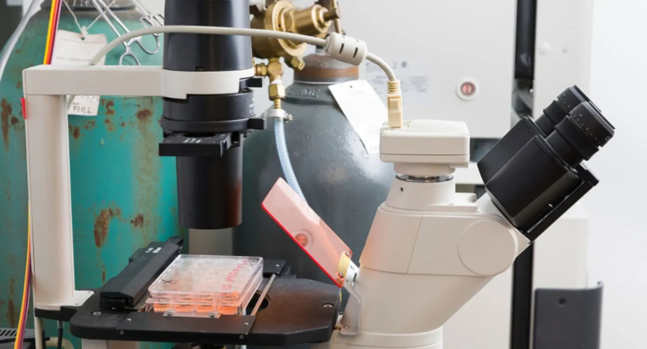 Un bioréacteur innovant triple la production de vésicules thérapeutiques