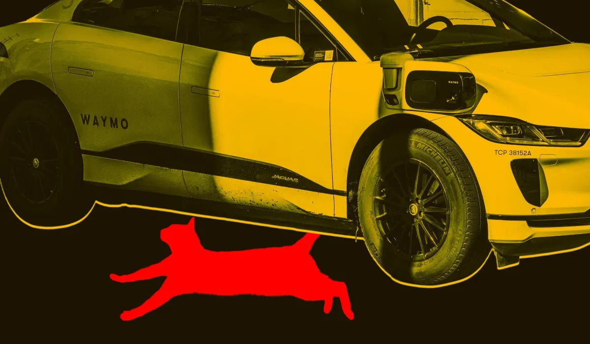 Un chat d’épicerie de quartier adoré aurait été mortellement percuté par une Waymo sans conducteur