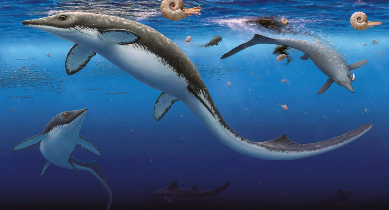 Un fossile vieux de 249 millions d’années bouleverse la chronologie de l’évolution