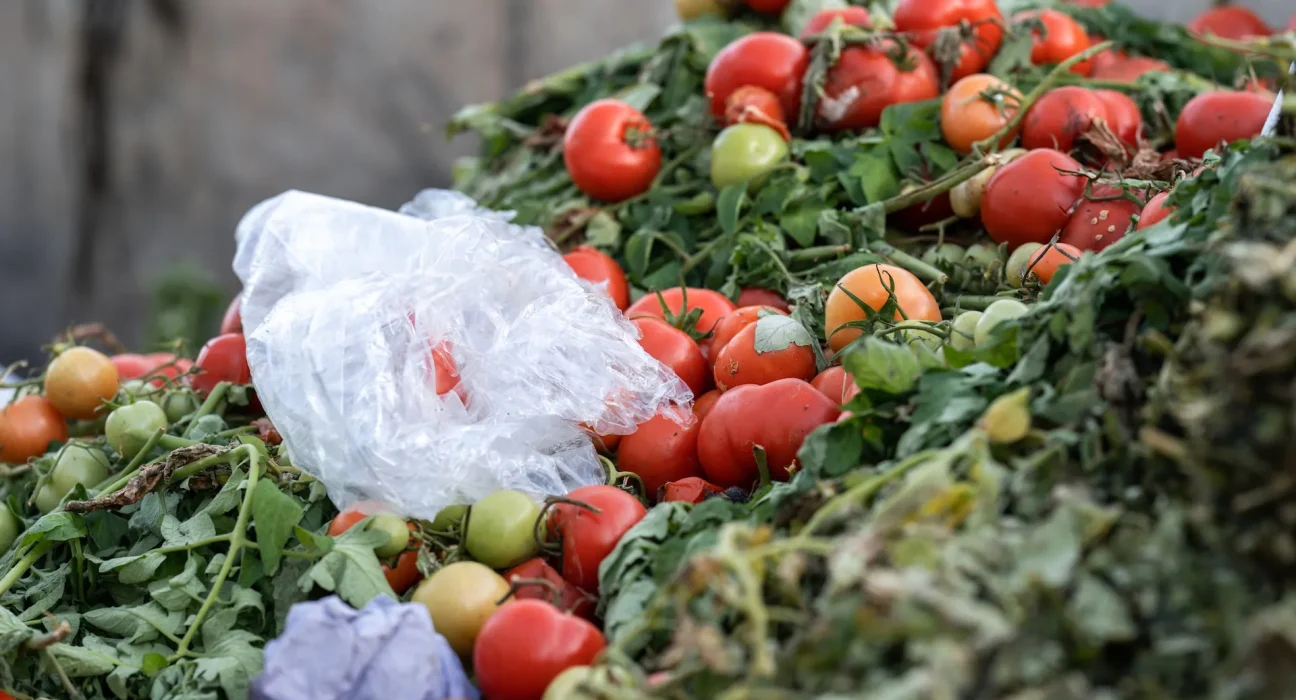 Un scientifique met au point une technologie innovante pour valoriser les déchets alimentaires: «Je veux aider les gens»