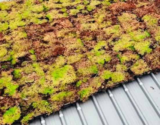Une découverte scientifique majeure pourrait transformer l’architecture de demain et dessiner des villes à taille humaine