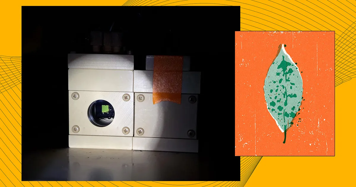 Une feuille artificielle convertit le CO2 en carburants durables