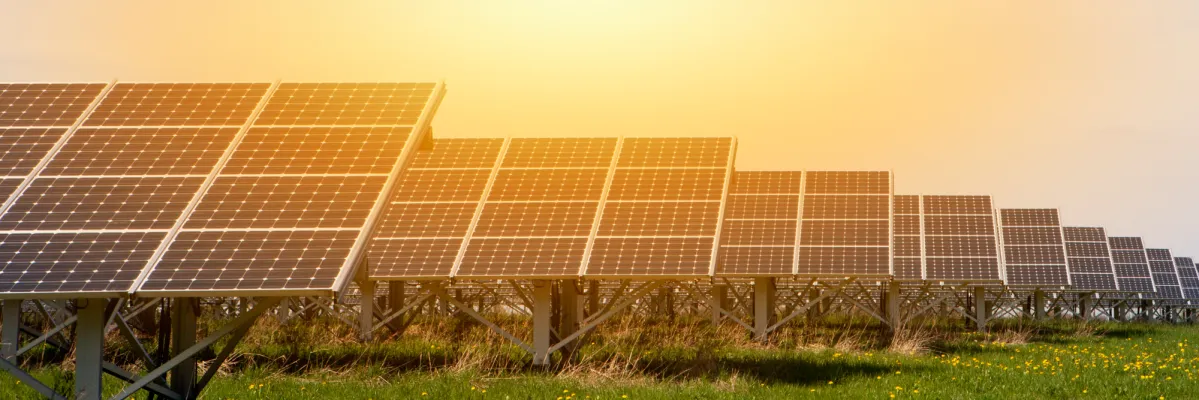 2017 : Une Année Historique pour l'Écologie au Royaume-Uni