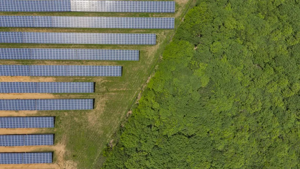 Agriculteurs sidérés par les conséquences imprévues des nouveaux projets éoliens et solaires : 'Tout le reste semble dérisoire'.