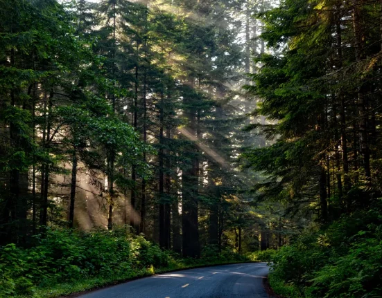 Californie : Objectif 100 % d'énergie renouvelable d'ici 2045
