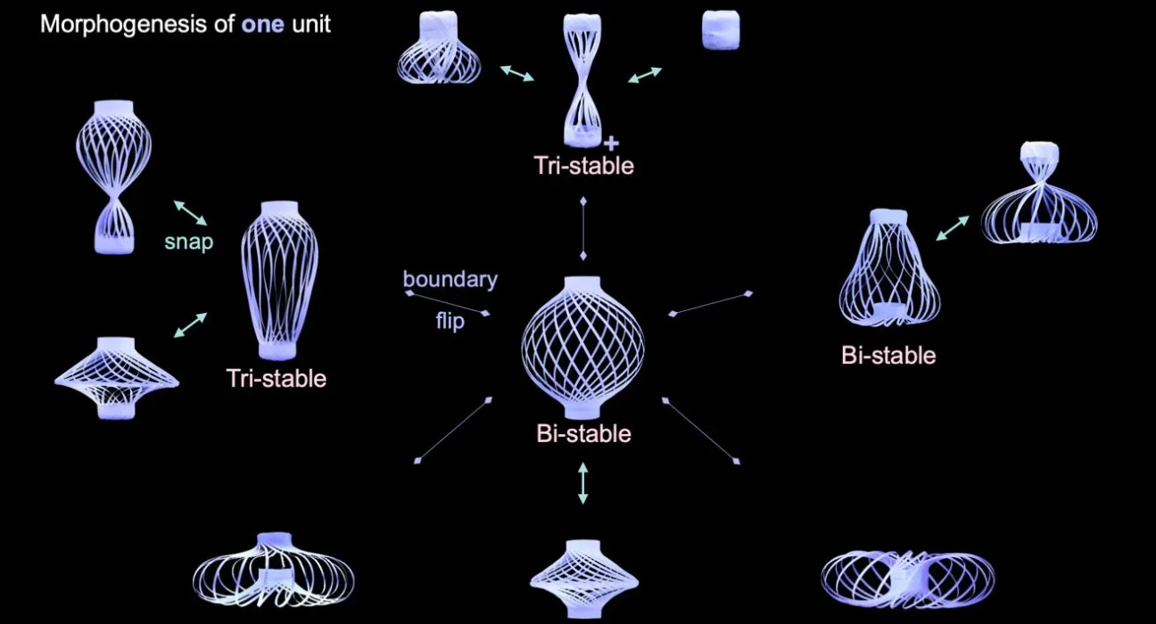 Cette Lanterne Polymère Métamorphosable : Une Danse de Vie