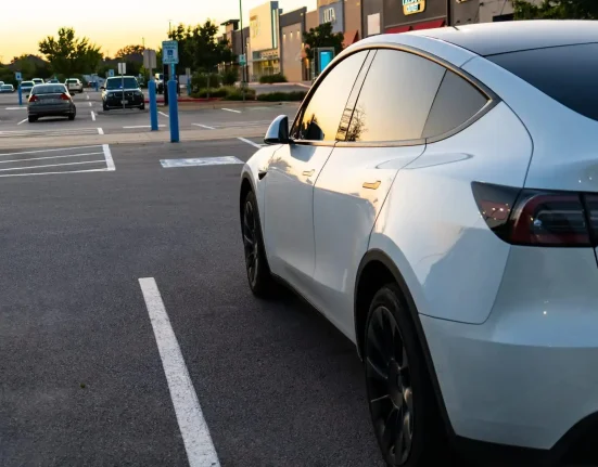 « Chien solitaire dans une Tesla : le message affiché qui fascine les internautes »