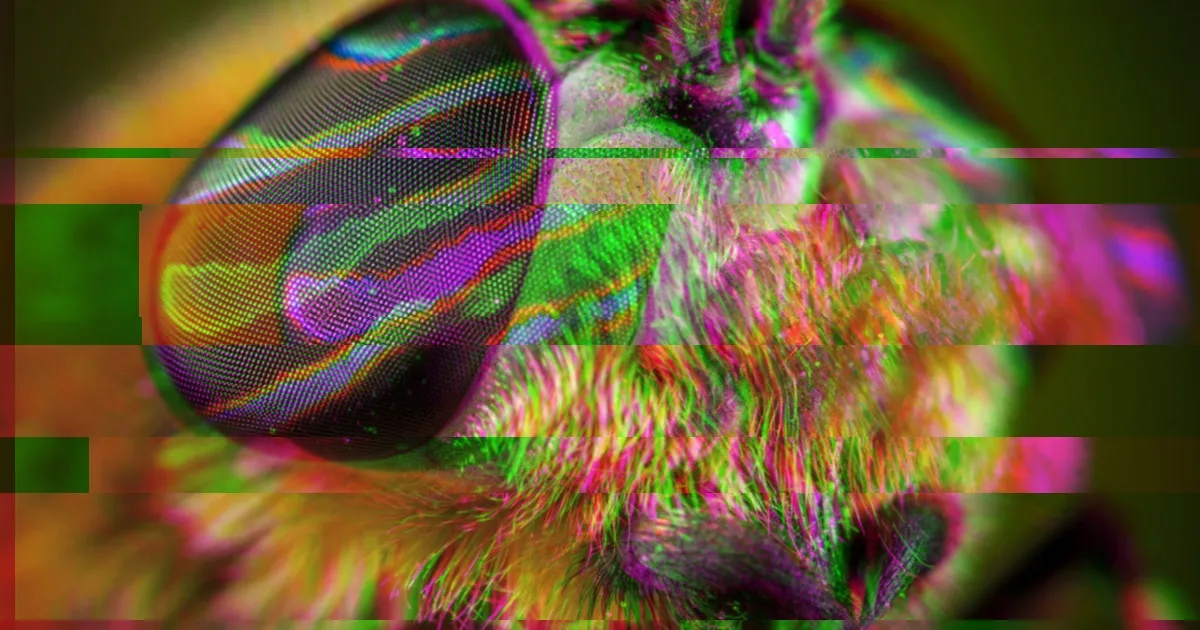 DARPA cherche à créer des robots conscients inspirés du cerveau des insectes.