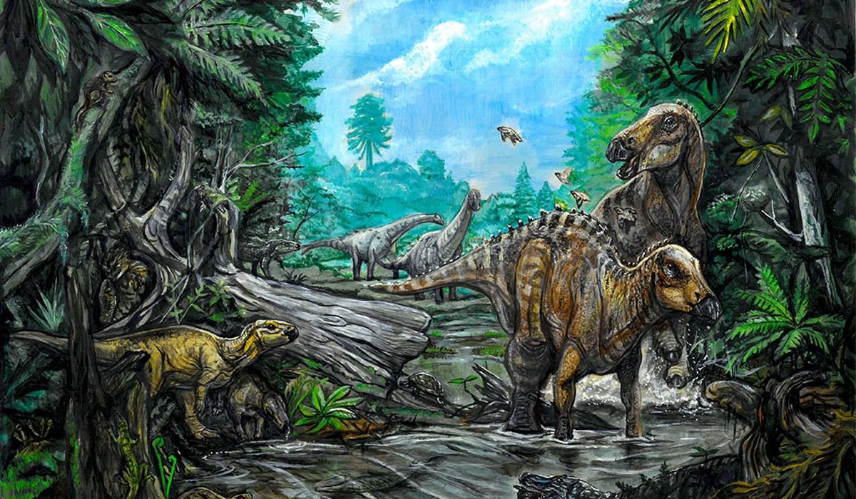 Découverte d'un Site Fossile Exceptionnel dans le Bassin de Hațeg : Une Superposition Sépulcrale de Dinosaures
