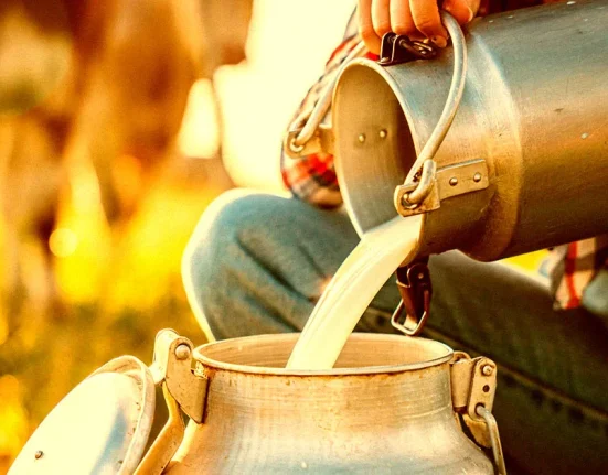 Des Amateurs de Lait Cru Exigent du Lait Contaminé par le H5N1.