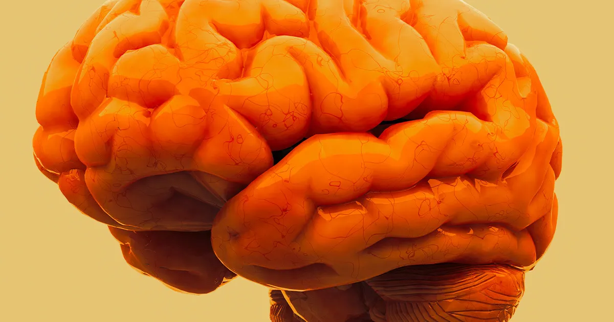 Des Scientifiques Modifient Génétiquement un Parasite pour Administrer des Médicaments au Cerveau.