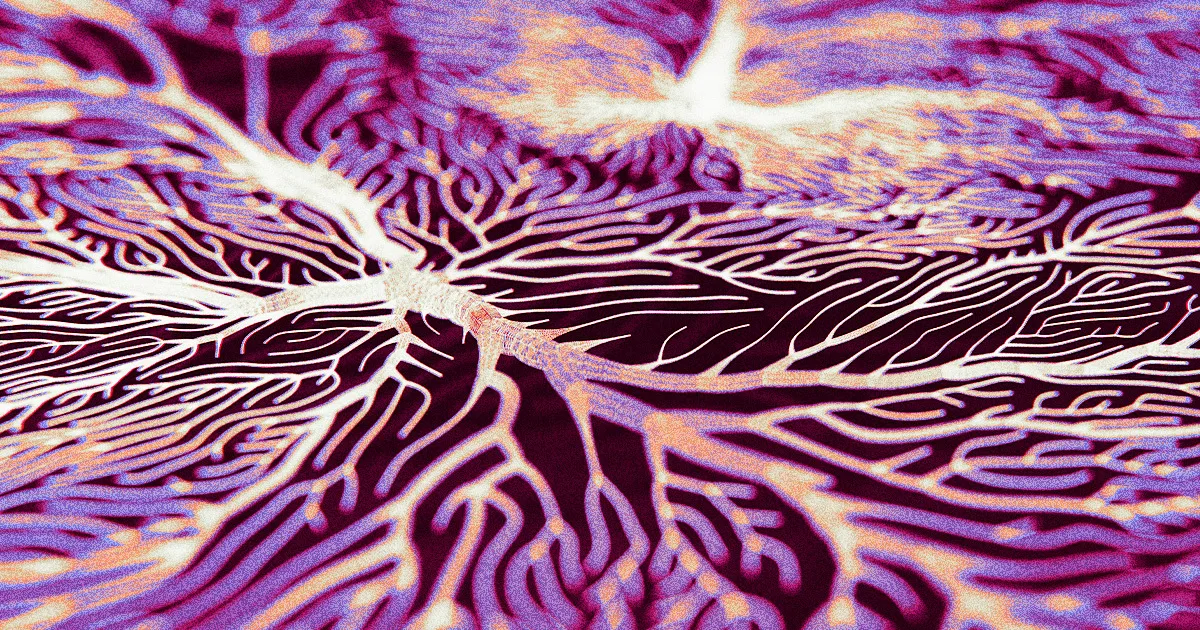 Des chercheurs affirment que certaines formes de démence pourraient être guéries grâce à l'identification de champignons et de bactéries dans le cerveau.