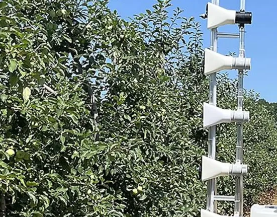 Des chercheurs mettent en œuvre une technologie IA révolutionnaire pour transformer l'agriculture : 'Pour répondre à de réels défis'