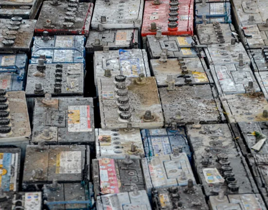 Des chercheurs réalisent une découverte révolutionnaire avec des bactéries dévoreuses de batteries : 'Nous n'attendions pas un tel succès.'
