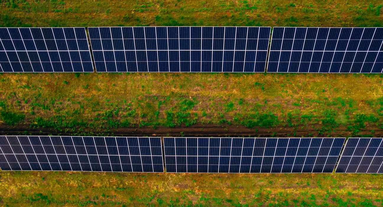 Des experts révèlent des avantages étonnants de l'association des panneaux solaires et des cultures : une idée enthousiasmante