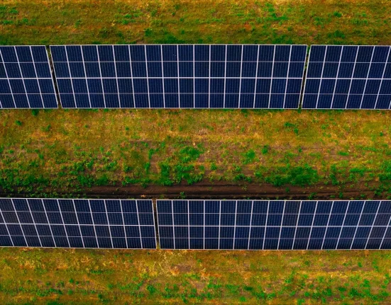 Des experts révèlent des avantages étonnants de l'association des panneaux solaires et des cultures : une idée enthousiasmante