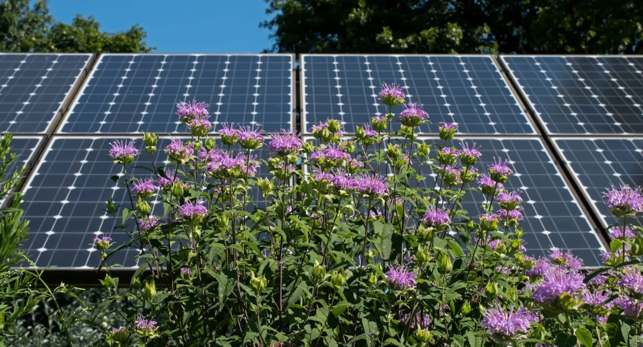 Des experts révèlent une découverte étonnante : des panneaux solaires sur les jardins suspendus peuvent avoir une double fonction