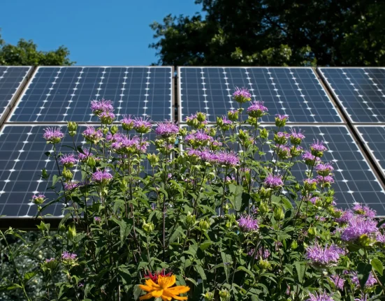 Des experts révèlent une découverte étonnante : des panneaux solaires sur les jardins suspendus peuvent avoir une double fonction