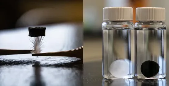 Des scientifiques exploitent la cellulose pour concevoir des dispositifs de stockage d'énergie durables et efficaces.