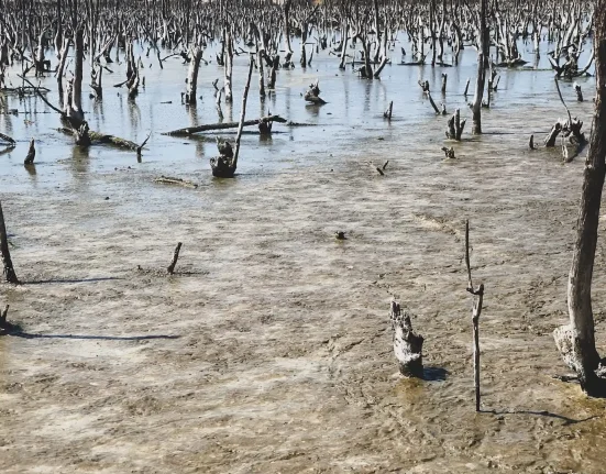 Des scientifiques surpris par des données inédites qui remettent en question le consensus sur un phénomène mondial : 'Cela change notre perception'