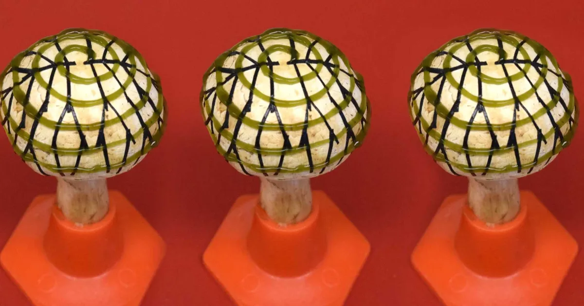 Énergie Innovante : La Révolution des Champignons Bioniques