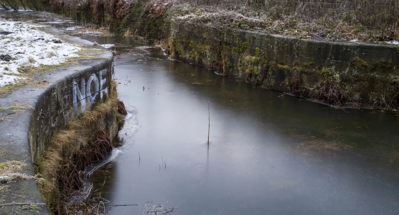Enquête lancée après l'apparition mystérieuse de millions de perles sur les rives de la rivière.