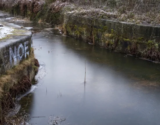 Enquête lancée après l'apparition mystérieuse de millions de perles sur les rives de la rivière.