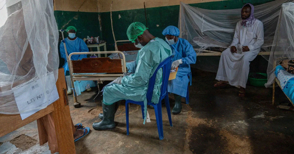 Épidémie Fulminante : Des Enfants Hospitalisés Après Avoir Mangé une Chauve-Souris