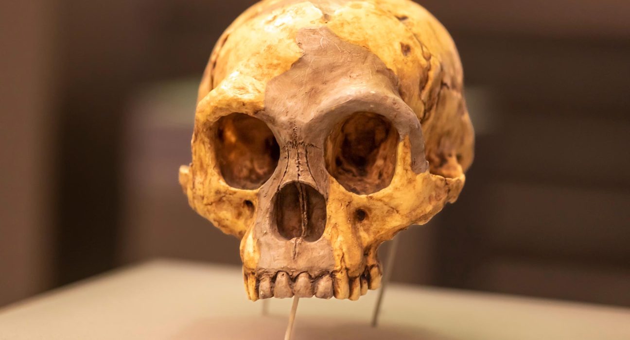 Événement Climatique Ancien Associé à l'Extinction Mystérieuse des Humains 'Hobbit'