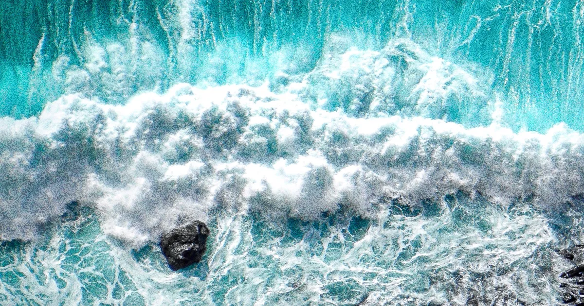 Face à la controverse, le Japon confirme le rejet en mer des eaux traitées de Fukushima