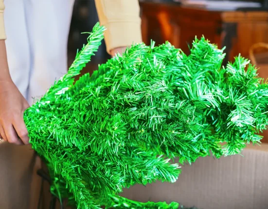 Fox News Encourage l'Achat d'Arbres de Noël en Plastique pour Nourrir l'Avidité des Centres de Données IA